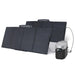 EcoFlow Delta 2 with two 160W solar panels