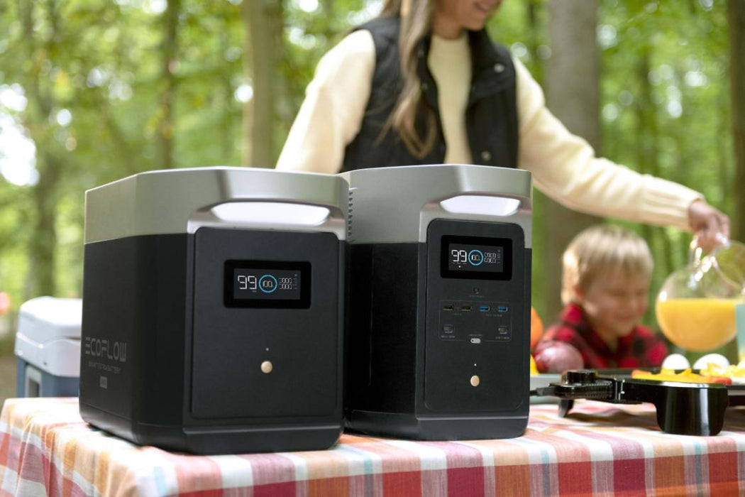 EcoFlow Delta Smart Extra Battery for camping power