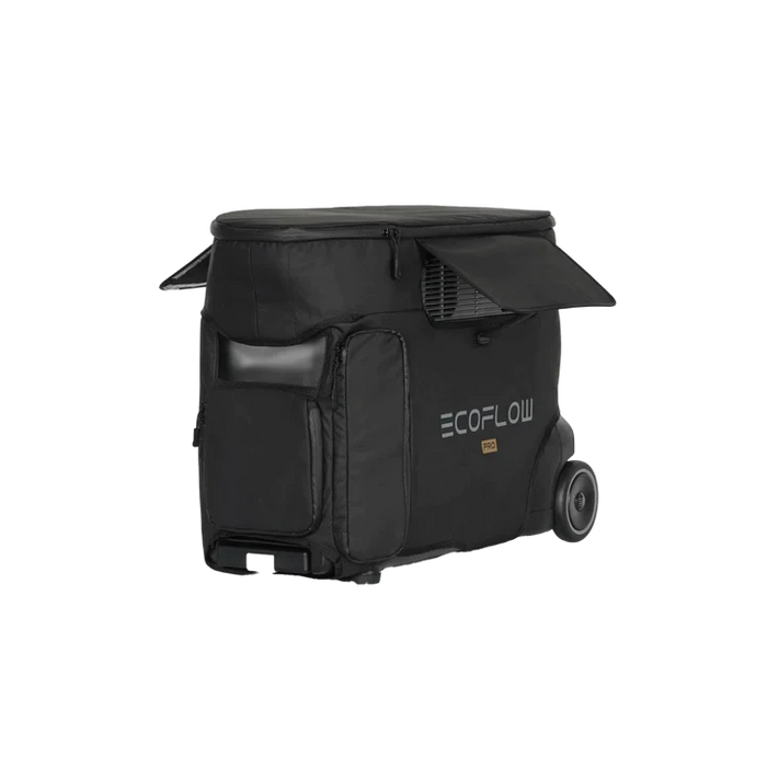 ecoflow delta pro bag