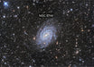 Astrophotography image of pavo spiral galaxy with Vixen VC200L